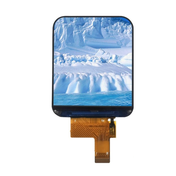 1,69 tommer TFT LCD -modul 37pin