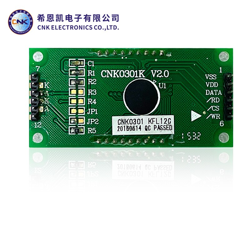 FSTN Type Segment LCD Display